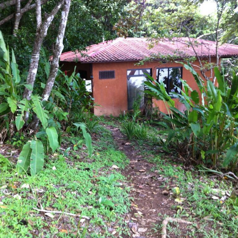 Howlers Bay Hotel Boca Chica Exterior foto